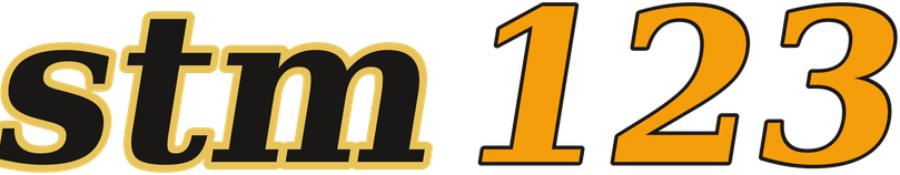 stm123 logo